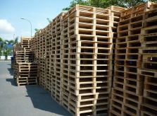 Tầm quan trọng của tiêu chuẩn pallet gỗ trong hoạt động xuất khẩu