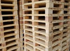 Phân phối đa dạng các dòng pallet gỗ giá rẻ tại bến tre